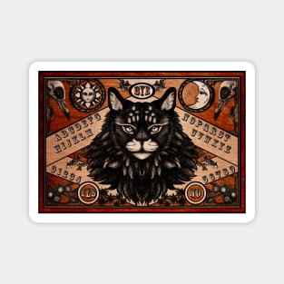 Maine Coon Quija Board Magnet