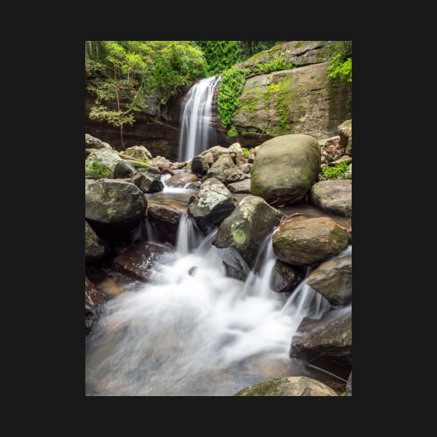 Serenity Falls, Buderim, Sunshine Coast by AndrewGoodall