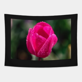 Pink tulip flower Tapestry