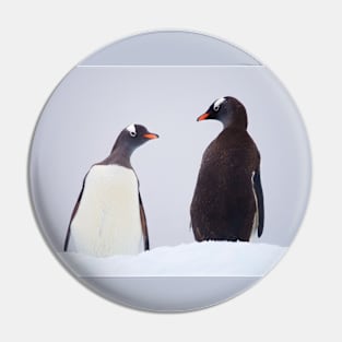 PENGUIN CONVERSATION Pin