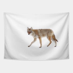 Coyote Tapestry