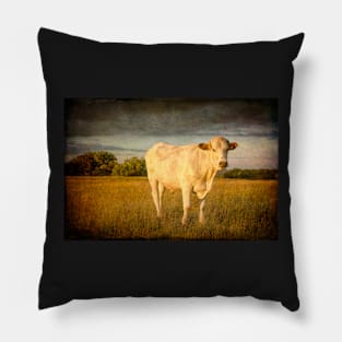 Bullock#12 Pillow