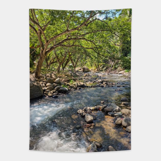 Mountain Stream, Jasaan, Misamis Oriental, Mindanao, Philippines Tapestry by Upbeat Traveler