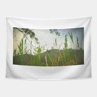 Pampas Grass Tapestry