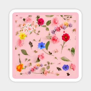 All Colourful Flowers Lover Magnet