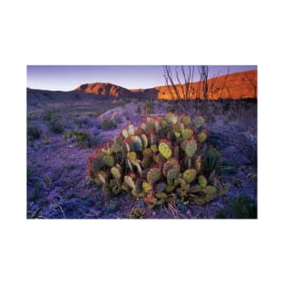 Opuntia In Chihuahuan Desert Landscape Big Bend National Park T-Shirt