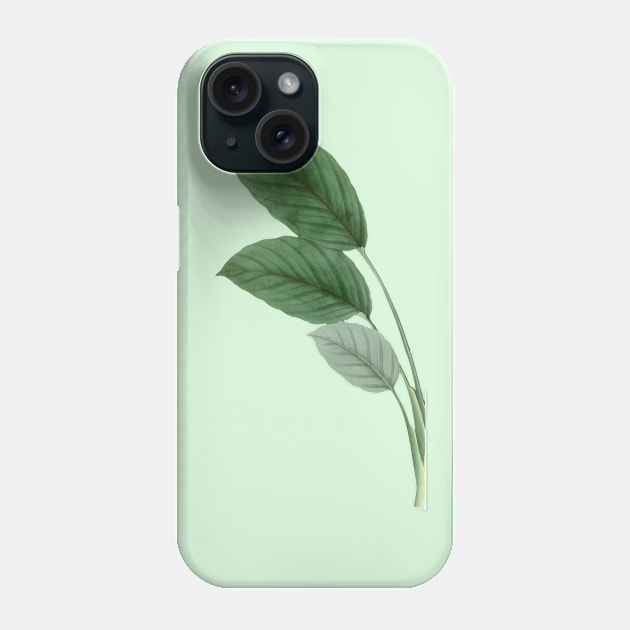 Nature Leaf Phone Case by Hastag Pos