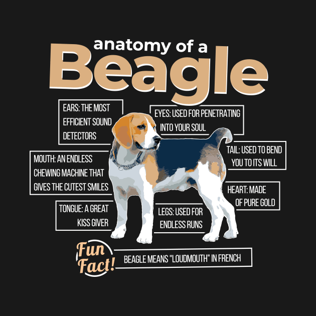 Anatomy of a Beagle by dan89