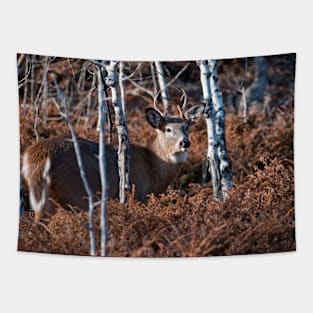 White-tailed Deer Tapestry