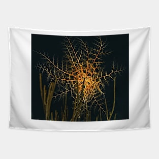 Large Sea Basket Star at Night Tapestry