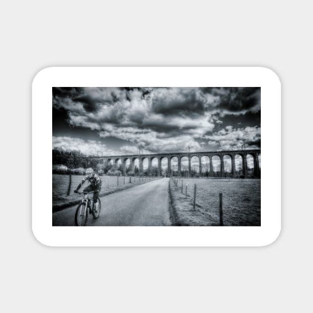 Digswell Viaduct Cyclist Magnet by Nigdaw