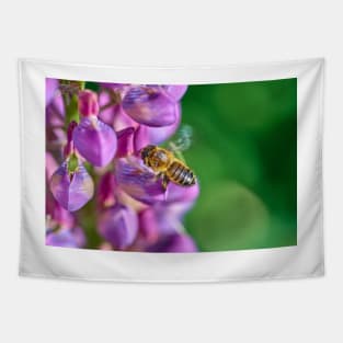 Bee descending on a lupin Tapestry