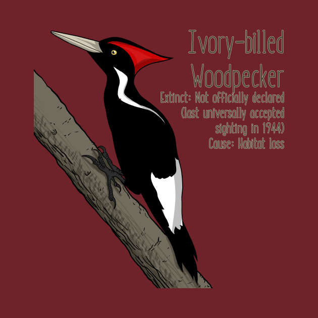 Extinct Species: Ivory-billed Woodpecker - Extinct Species - T-Shirt