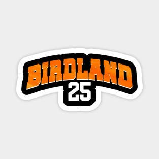 Baltimore Orioles 25 Magnet