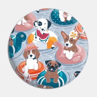 Summer pool pawty // pastel blue background dog breeds in vacations playing on swimming pool floats Pin