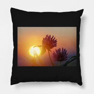 Winter meadow at sunrise Pillow