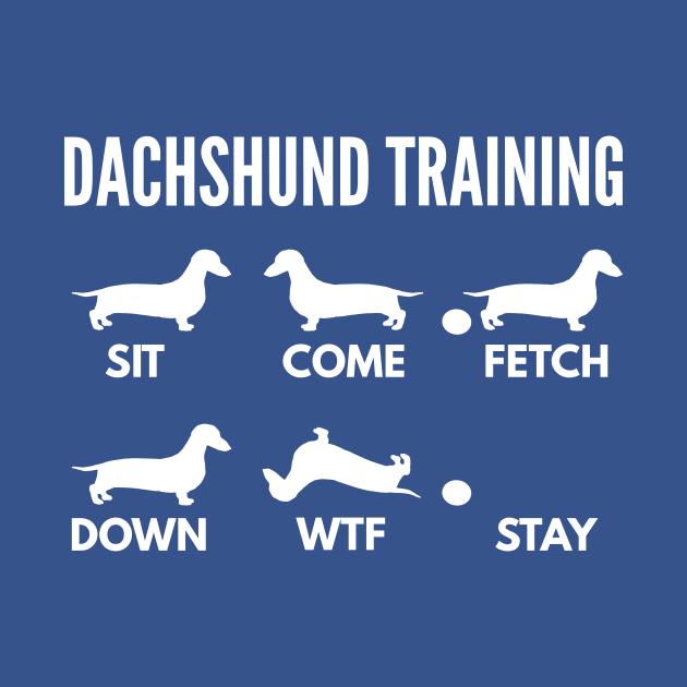 Dachshund Training Wiener Tricks by DoggyStyles