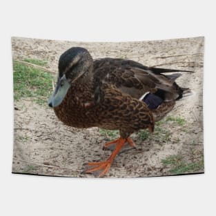 The Duck Walk! Tapestry