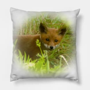 Red fox cub Pillow