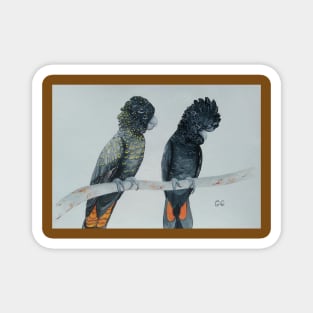 Australian Black Cockatoos original painting Magnet