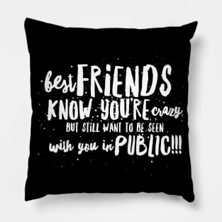 Best FRIENDS Know You're Crazy, but still want to be seen with you in PUBLIC!!! Pillow