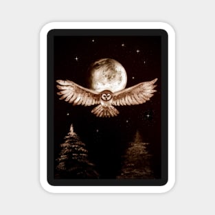 Owl with full moon Magnet