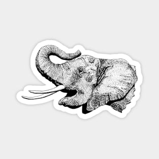 Elephant Magnet