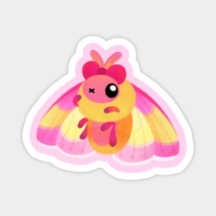 Rosy Maple moth Magnet