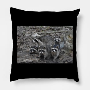 Raccoon Family Pillow