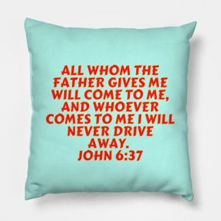 Bible Verse John 6:37 Pillow