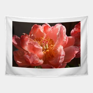 Peony ,petals , flowers, flora, peony Tapestry