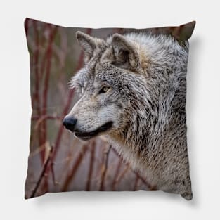 Gray Wolf Pillow