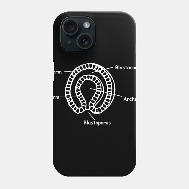 Gastrulation sketch Phone Case by RosArt100