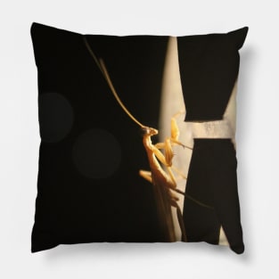 Praying Mantis Pillow