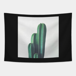 Organ Pipe Cactus Tapestry