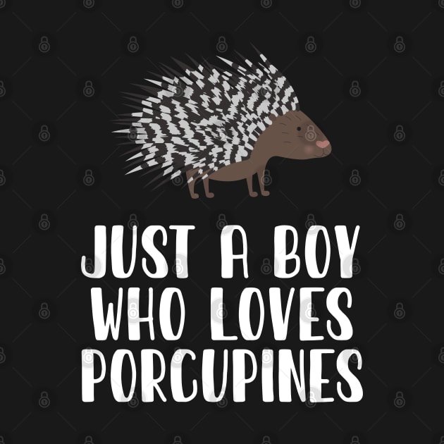 Just A Boy Who Loves Porcupines by simonStufios