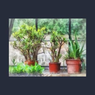 Bonsai in Greenhouse T-Shirt