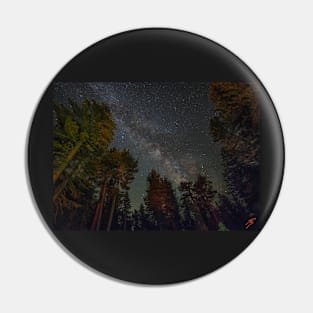 The Milky Way through the Pines Pin