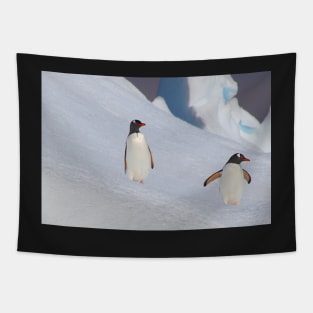 Gentoo Penguins On The Slippery Slope Tapestry