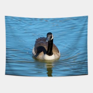 Canada Goose Swimming Towards The Camera Tapestry