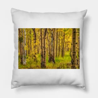 Awake In The Fall Forest Of Gold Pillow