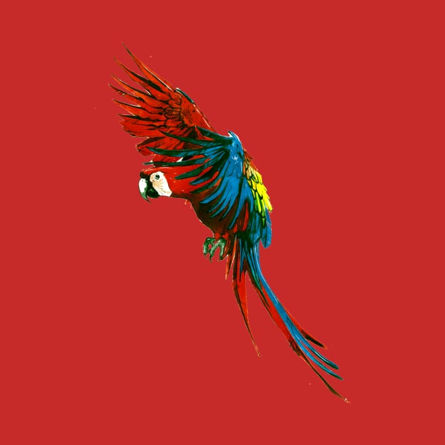 Scarlet Macaw 3 by A.E. Kieren Illustration