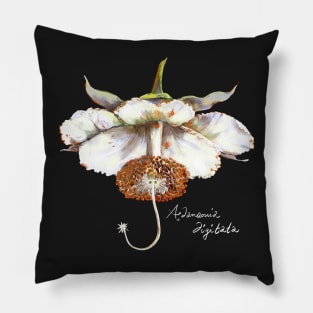 Baobab Bloom Pillow