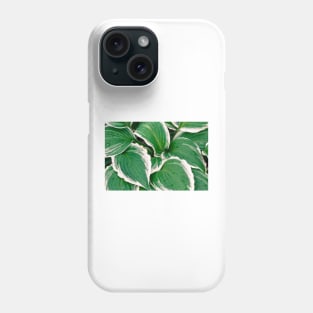 Hosta Leaves In The Rain 2 Phone Case