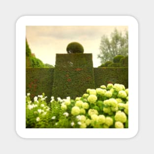 Topiary (in a French Garden) Magnet