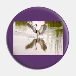 Tricolored Heron Angel Wings Pin