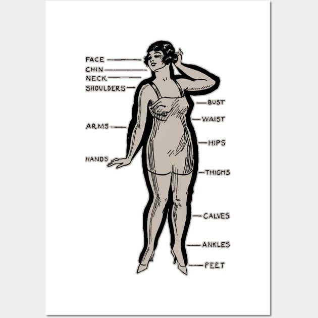 Body parts - Feminine Humor - Posters and Art Prints