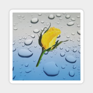 Yellow Rose bud for friendship Magnet
