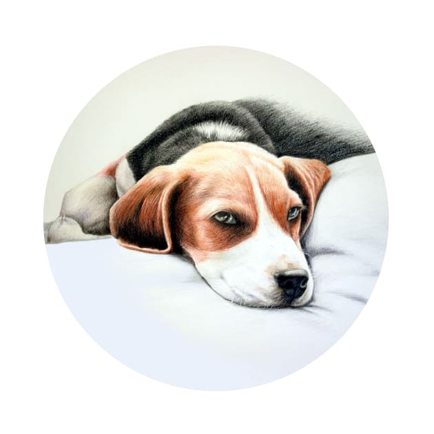 Beagle Pencil Drawing by Sandra Warmerdam