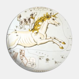 Unicorn Horse Constellation Vintage Illustration Pin